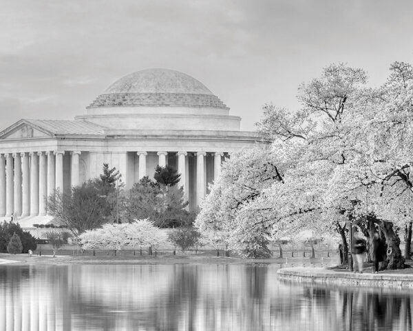 Policymaker Perspectives on ESG: the 2023 Washington Insights Review