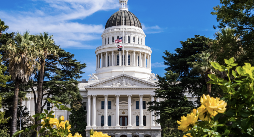 California Insights Review Series: Top Policy Priorities
