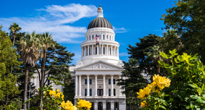 California Insights Review Series: Top Policy Priorities